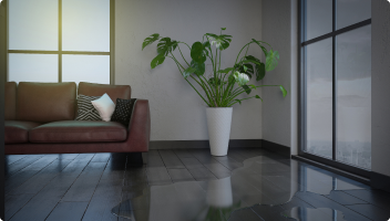 lifestyle-plant